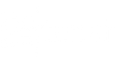 TanAir logosu